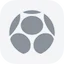 Liga MX team logo